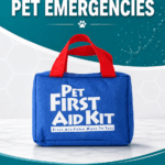 Pet First Aid Kit detail image