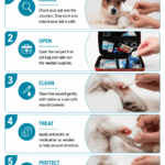 Pet First Aid Hand Kit Bag detail image
