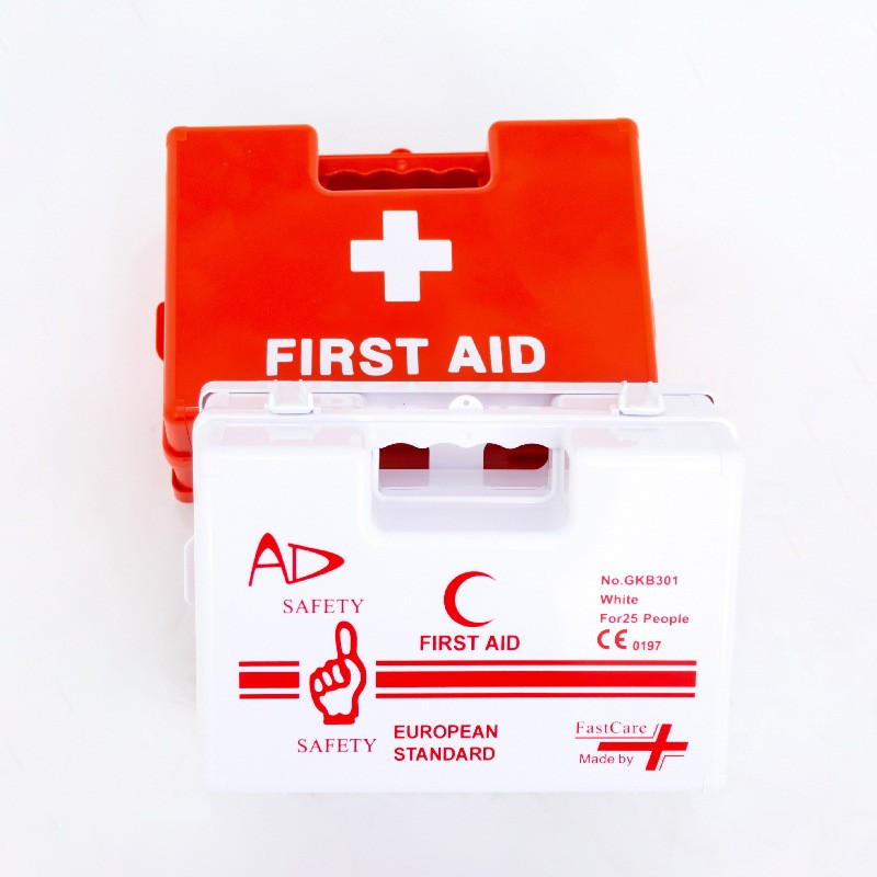Wall-mounted first aid kit