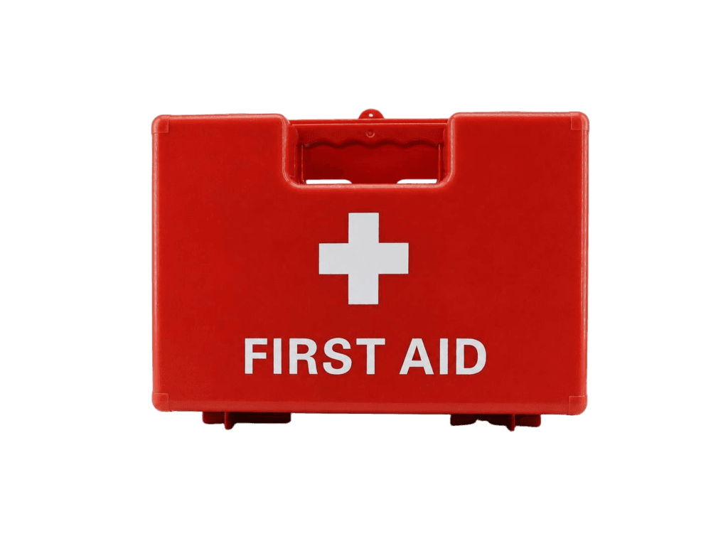 Wall-mounted first aid kit