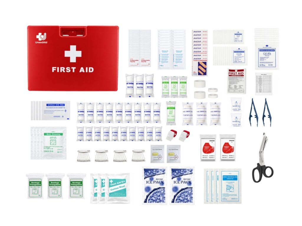 Wall-mounted first aid kit